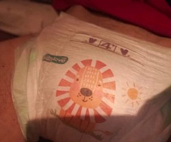 Babylove Windel Gebraucht 10€ + Extra Wunsch z.z. Versand